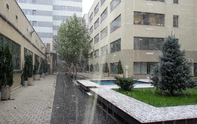 PRIMELE FOTOGRAFII CU ZĂPADA DIN BUCUREŞTI! Uite ce frumos ninge | FOTO