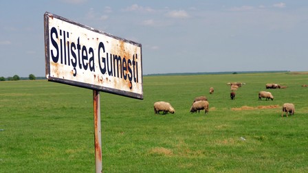 Creșterea animalelor rămâne una dintre ocupațiile de bază în satul lui Moromete