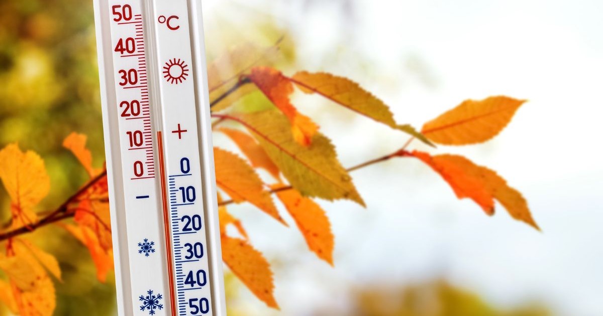 Fotografia prezintă un termometru gradat, pe care scara roșie indică temperaturi pozitive până la 50°C, iar scara albastră temperaturi negative până la -50°C. În fundal, se văd crengi subțiri și frunze de copac colorate în nuanțe de galben și portocaliu