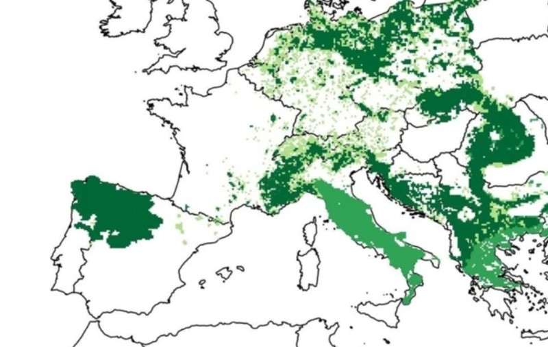 Animalul aflat odată în pericol de dispariție și care s-a întors în pădurile României. Harta prezenței în Europa