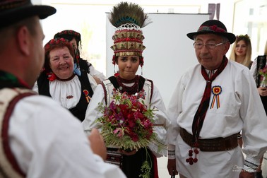 Arhiva foto