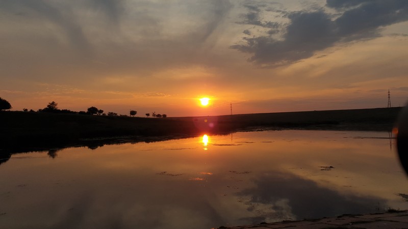 Arhiva foto