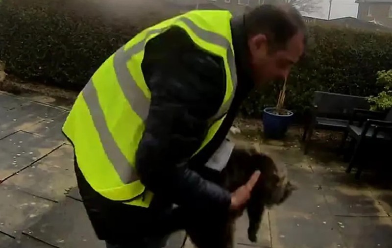 Un român, curier la Amazon în Anglia, a fost filmat când a furat pisica unei familii. Acum, riscă cinci ani de închisoare