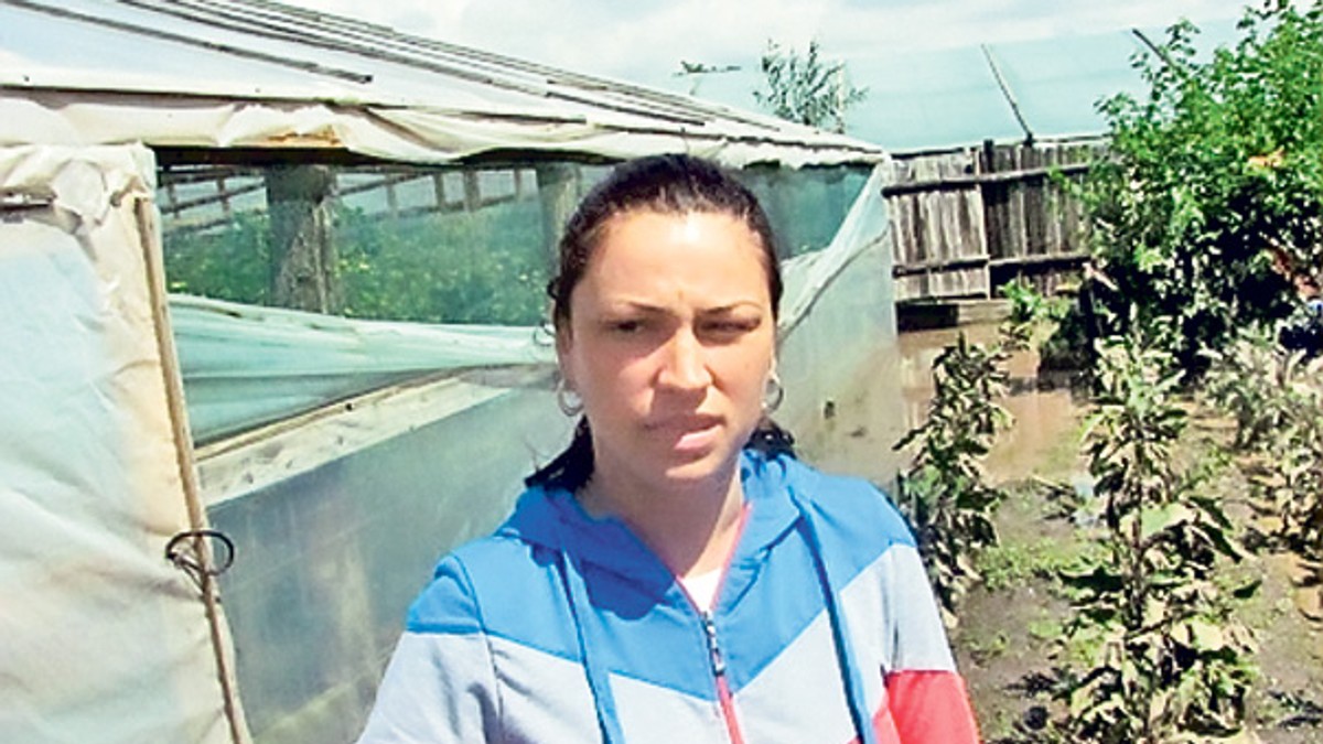 Arhiva foto