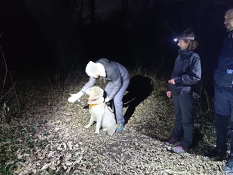 Unul dintre exercițiile de pregătire constă într-o simulare de căutare de victime: „victima” se ascunde în pădure, pe pământ, iar câinele o caută. Când o găsește, trebuie să latre. Primește apoi o recompensă