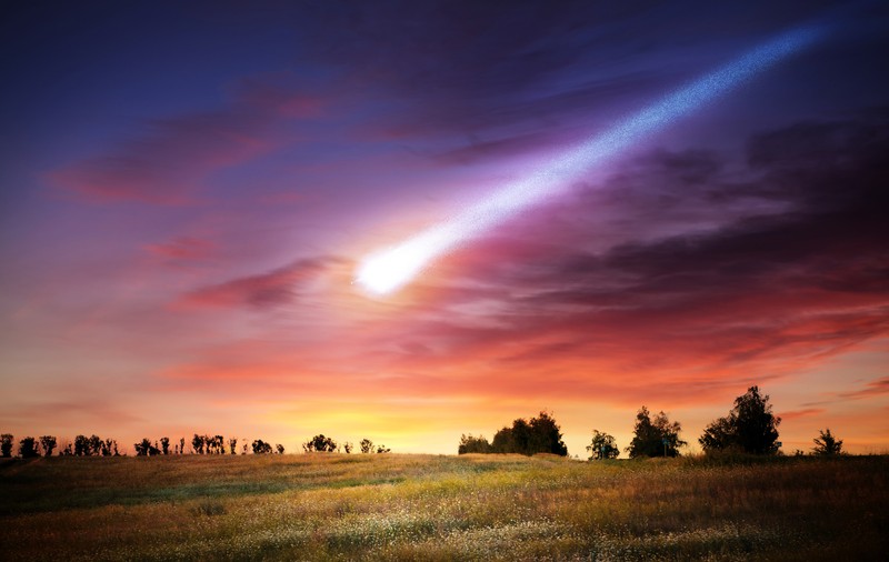 Bucată de meteorit de 4,5 miliarde de ani, găsit în curte de un german. Roca este extrem de rară