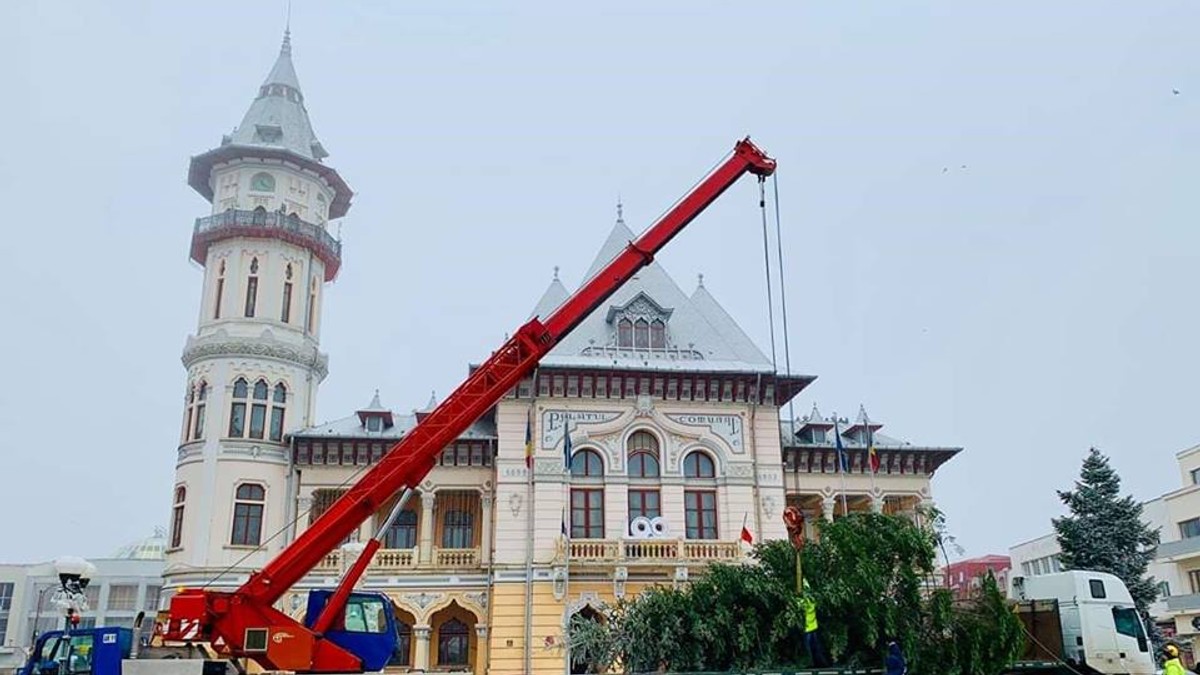 Bradul de Crăciun de la Buzău, donat de un localnic nevoit să-l taie