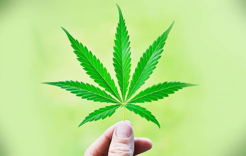 Încă un stat american a legalizat consumul recreațional de marijuana. Oamenii s-au așezat la cozi încă din timpul nopții