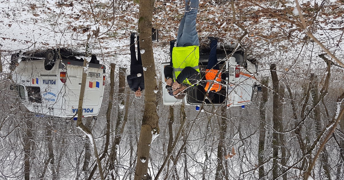 Focuri de armă în Vrancea, după ce poliţiştii au prins hoţi de lemne cu căruţe pline cu arbori