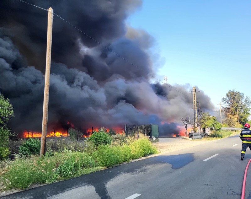 Mesaj RO-Alert, emis după ce zeci de hectare de vegetație uscată din Giurgiu și Mehedinți au fost cuprinse de flăcări