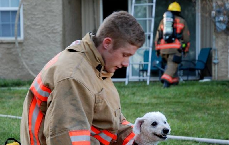 Reacţia adorabilă a unui căţel, când e salvat dintr-un incendiu de un pompier