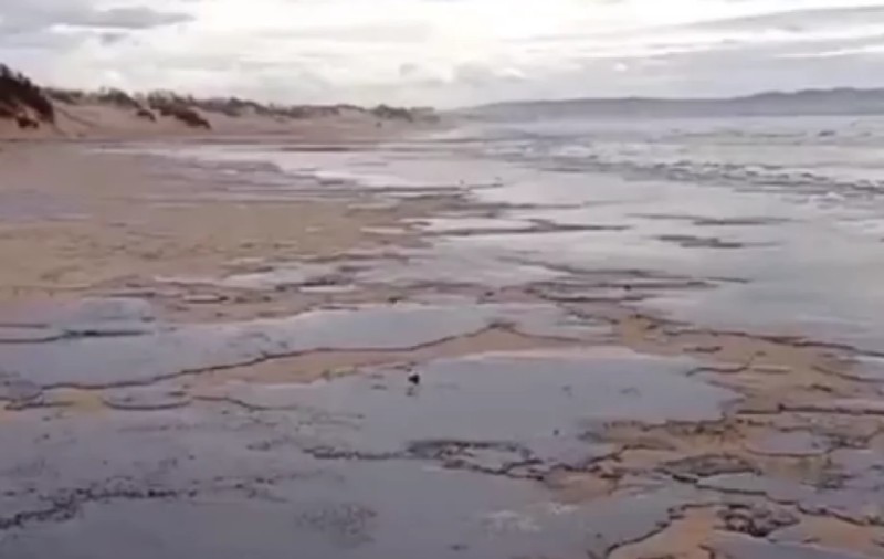 Autoritățile ruse au ascuns țițeiul scurs în Marea Neagră chiar sub nisipul de pe plaje