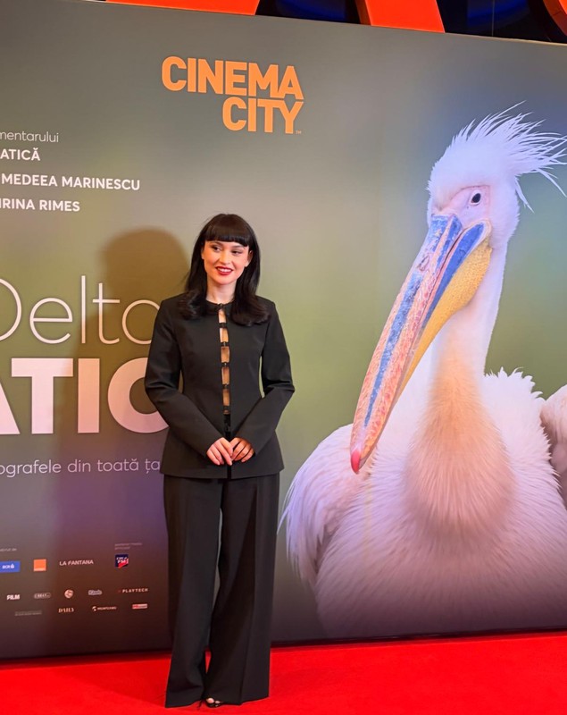 Cum a apărut Irina Rimes pe covorul roșu