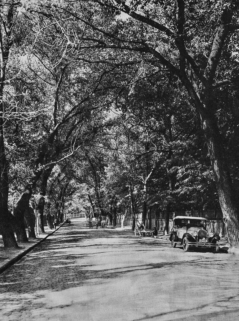 Aleea Cotroceni, sursa: București, album de fotografii, 1929