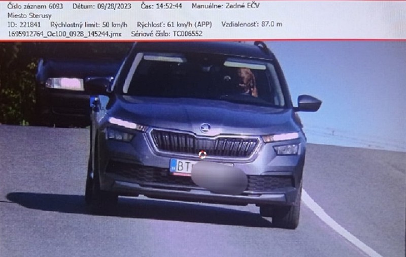 Câine surprins de radar la volanul unei Skoda, mașina rula cu 61 km/h, pe o șosea din Slovacia