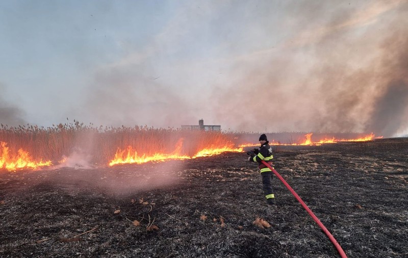 Incendiu de proporții în Brăila: peste 150 de hectare de culturi arse între Muchea și Siliștea