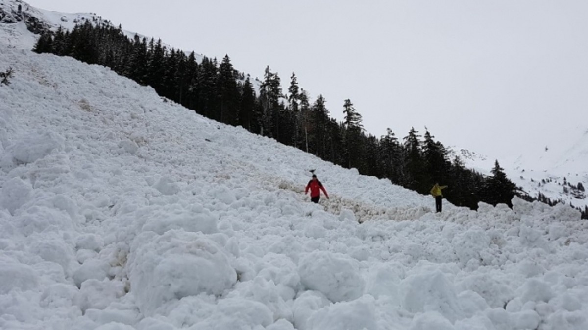 Avalanşă pe Transfăgărăşan, pe 17 martie