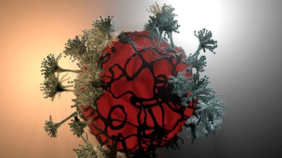 Aspergillus-ciupercă