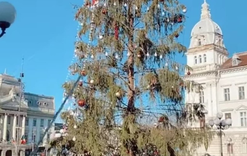 VIDEO | Bradul de Crăciun din Arad, ținta ironiilor: „Restul din brad când îl vor pune?”