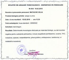 Arhiva foto