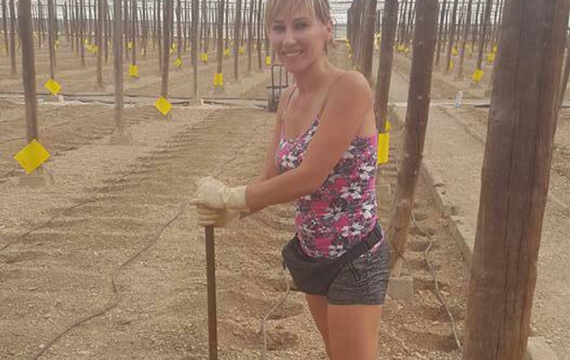 Investește toți banii în dovlecei! Tânăra din Satu Mare care a luat marele premiu la loteria spaniolă se ține de agricultură