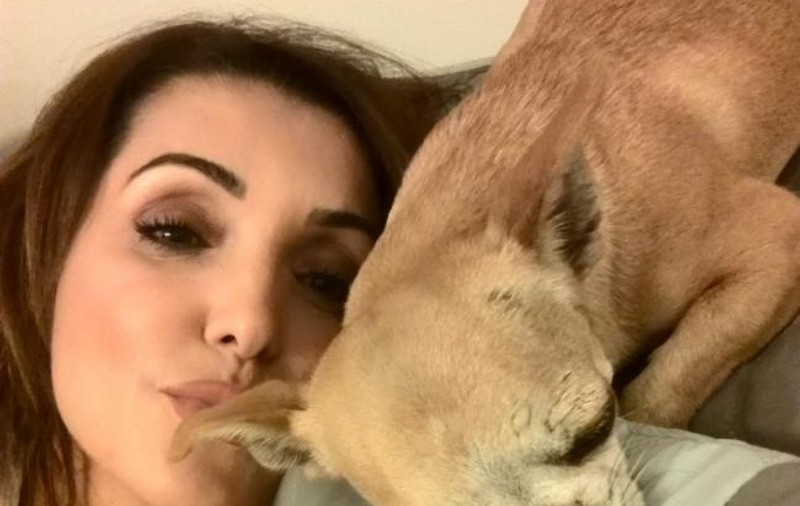 Nico, despre cele nouă animale pe care le are acasă