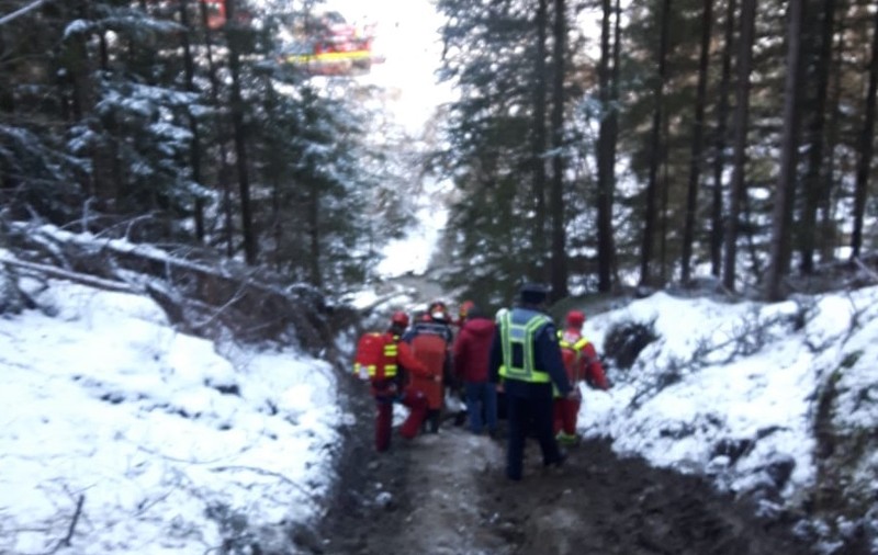 Un bărbat peste care a căzut un copac în pădure a fost rănit. Ca să ajungă la el, salvatorii au urcat pe jos un kilometru