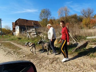 Animalele fără lesă și fără botniță prin sat