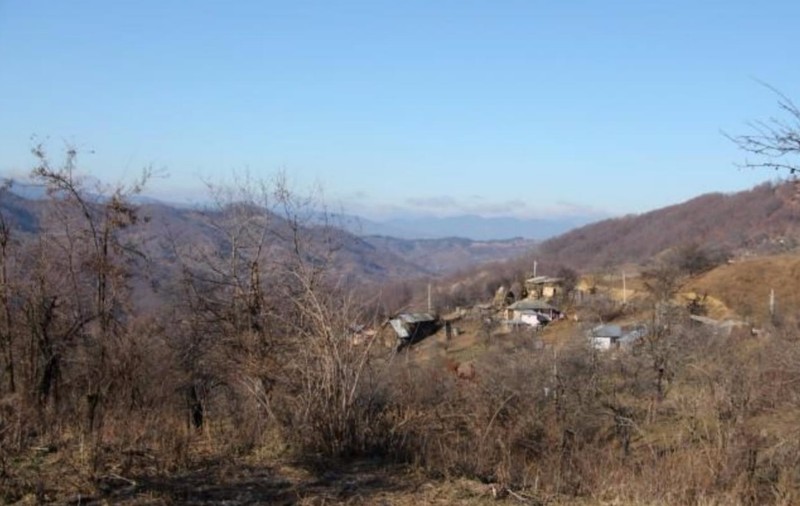 Copiii aceștia stau în mijlocul pădurii și nu au auzit de Moș Crăciun!