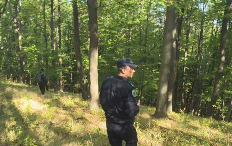 UPDATE: Copil de 8 ani, pierdut de tată într-o pădure din Braşov. Autoritățile brașovene sunt în alertă. Copilul a fost găsit