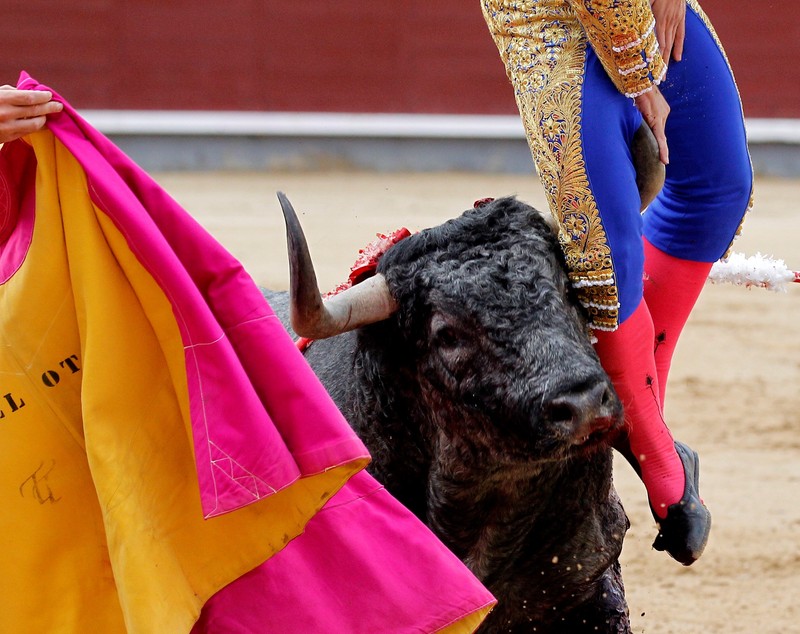 FOTO | Momentul șocant în care un matador este împuns de un taur furios. Omul a fost rănit grav