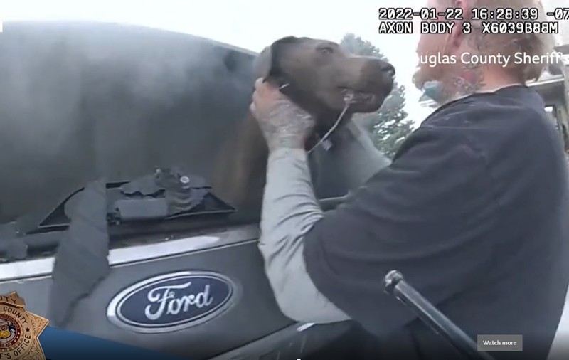 Momentul dramatic în care poliția din Colorado salvează un câine dintr-o mașină în flăcări