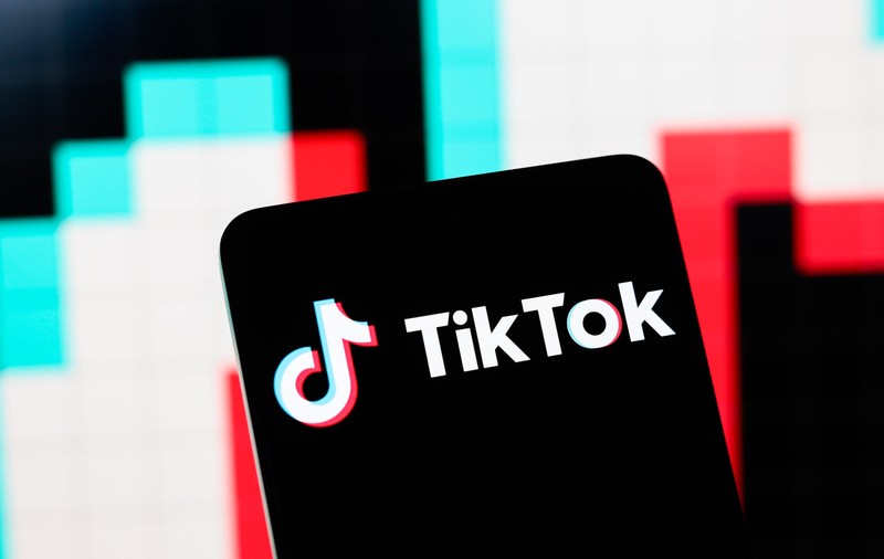 TikTok, interzisă timp de un an în Albania ca urmare a uciderii unui adolescent