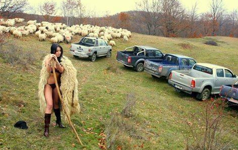 Banc: Virilitatea ciobanului roman