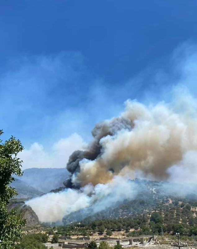 Incendiile puternice continuă în sudul Italiei. Temperaturi de peste 40 de grade, așteptate în următoarele zile
