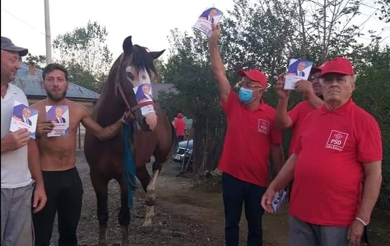 Campanie electorală în Călărași făcută cu fluturașul electoral PSD la căpăstrul calului. Candidatul: “Vă dați seama, entuziasmul momentului”