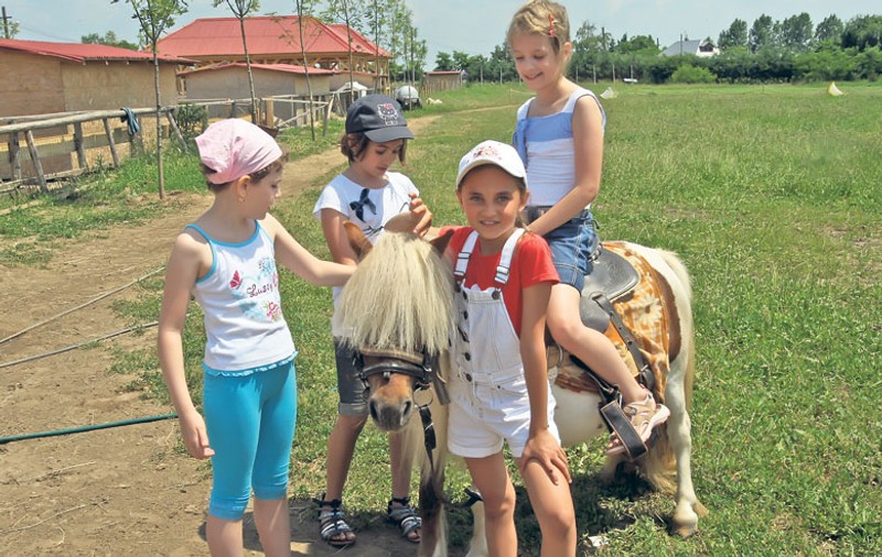 Iată câteva locuri unde poţi hrăni animalele sau să te joci cu ele