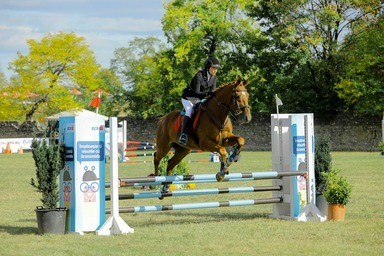 Karpatia Horse Show are și probe de sărituri peste obstacole. Sursa foto: Karpatia Horse Show