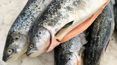 ce-este-pastrabul-somonat