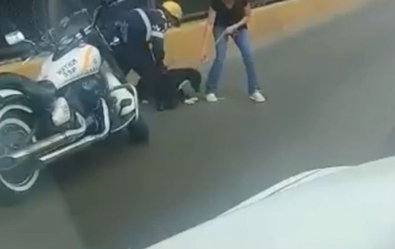Un polițist a oprit traficul ca să salveze un câine. Gestul agentului a emoționat pe toată lumea | FOTO