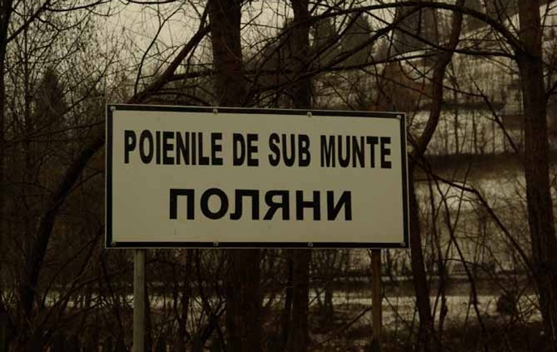 Caz cutremurător în Maramureș. O mamă și-a aruncat bebelușul în apele înghețate ale râului! Micuțul nu a supraviețuit