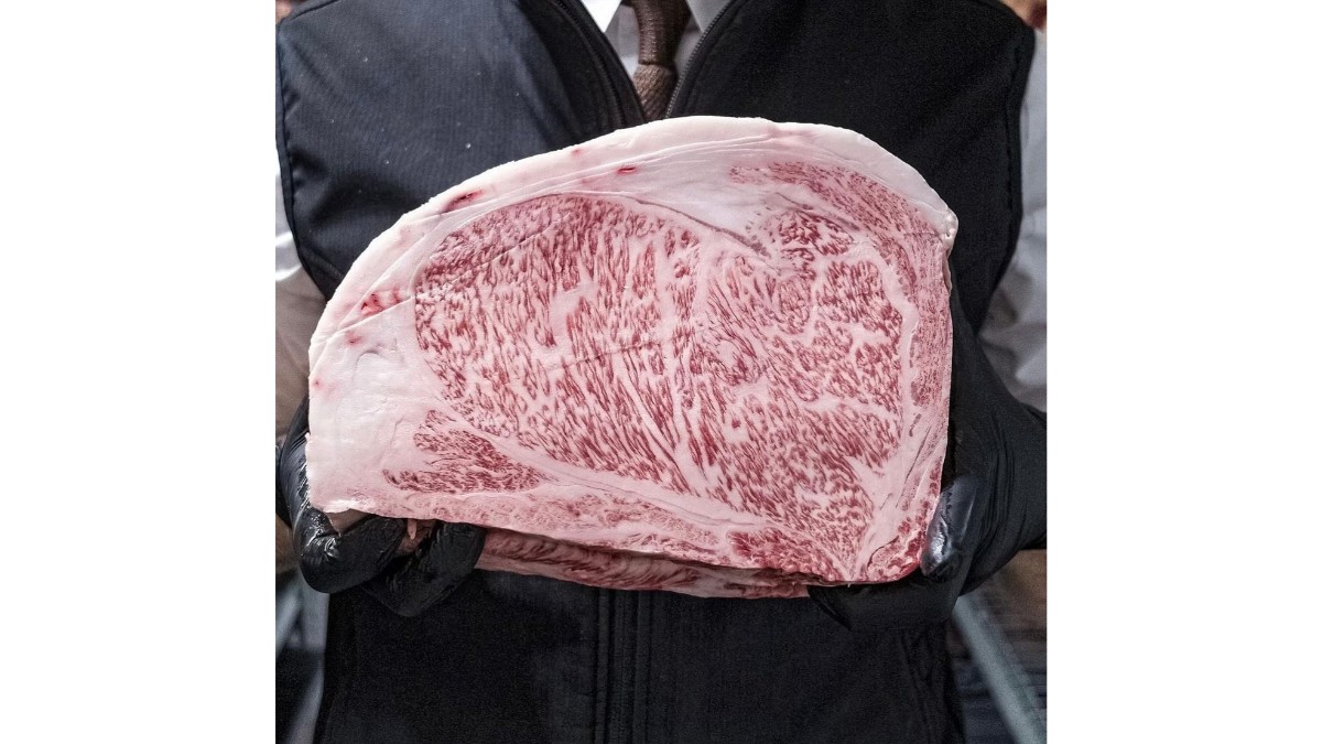 Bucata de carne vita wagyu rib eye