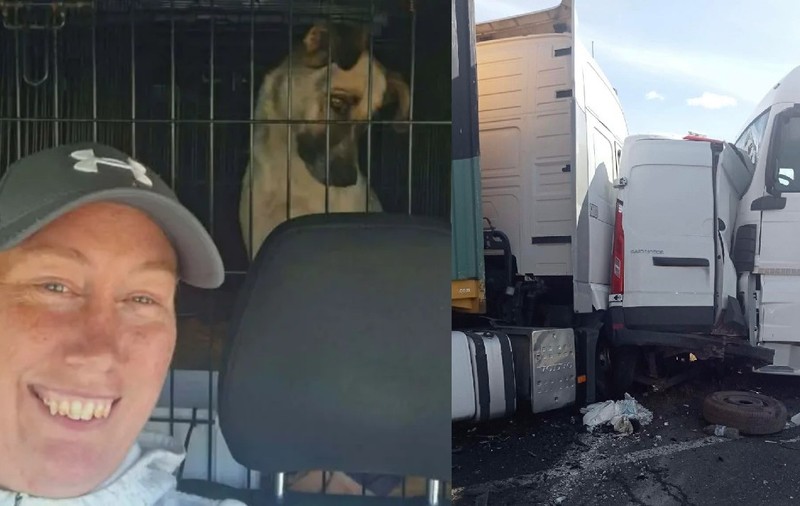 O femeie cu șapca, aflata într-un microbuz de transport câini, un animal se vede printre gratii// Un microbuz alb strivit de două autotrenuri albe