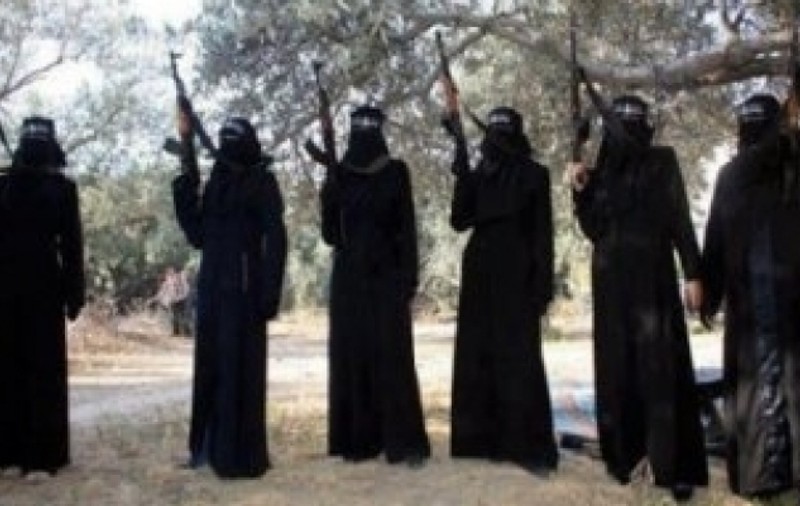 Măsuri de combatere a terorismului în România: Vizitele pe site-uri jihadiste, infracțiune