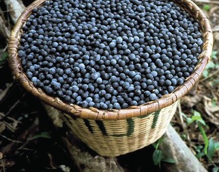 Arhiva foto