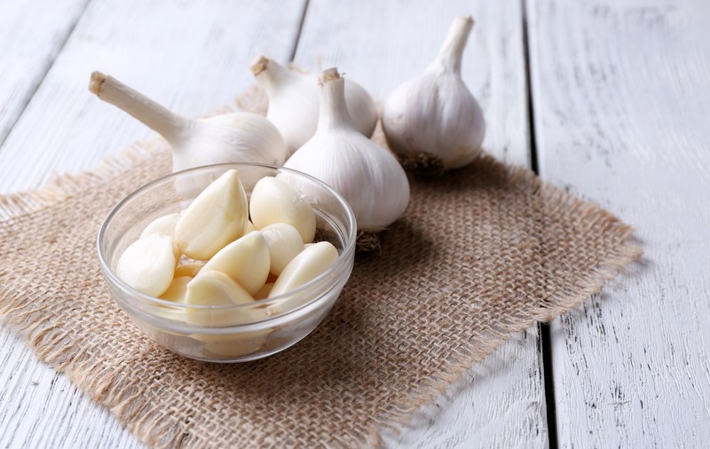 Plante cu proprietăţi antibiotice
