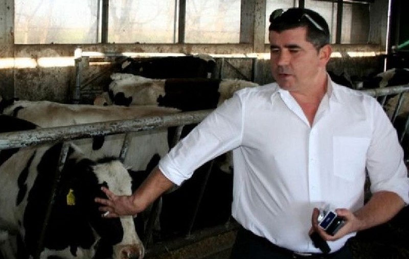 Una din cele mai mari compensații din România. Un crescător de vaci din Vrancea devine milionar în euro, după ce a dat statul în judecată
