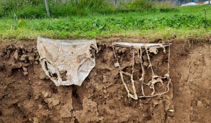 Cu cât organismele din sol sunt mai active, cu atât mai repede se descompune materialul de bumbac. Sursă foto: Gabriela Brandle / Agroscope