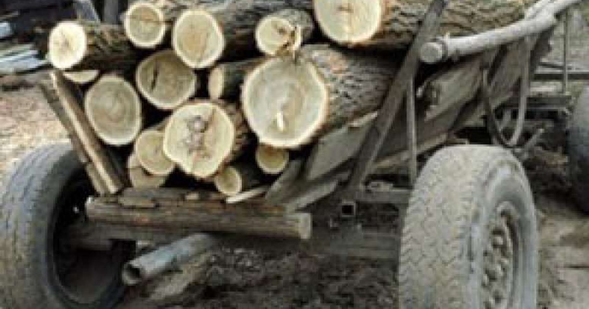 Un tânăr din Argeș a murit după ce o căruță cu lemne s-a răsturnat peste el
