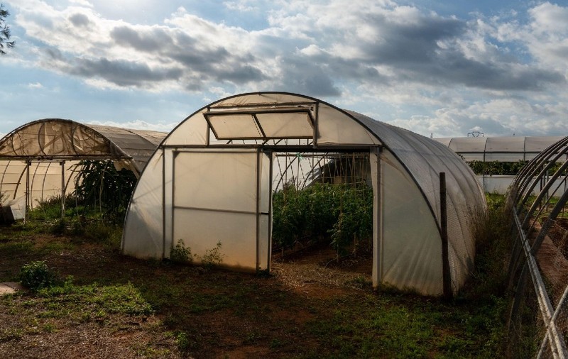 Fermierii vor trebui să plătească impozit și pe solarele de legume